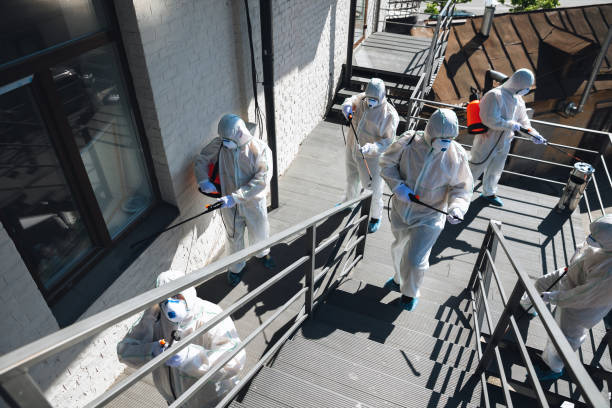 Best Post-Construction Mold Inspection  in Russiaville, IN