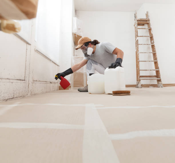 Best Industrial Mold Remediation  in Russiaville, IN