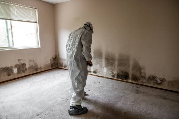 Best Mold Remediation for Healthcare Facilities  in Russiaville, IN